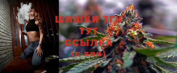 стафф Горнозаводск