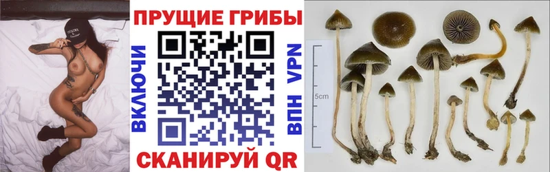 сколько стоит  Златоуст  Галлюциногенные грибы мухоморы 